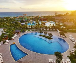 Combo 3N2Đ Phòng Standard Vinoasis Phú Quốc + Vé vui chơi Vinpearl + 1 Bữa Buffet trưa hoặc tối